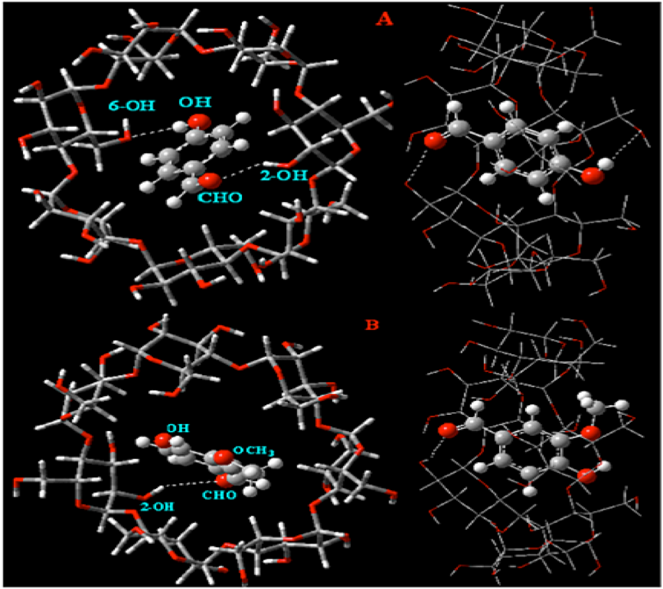 ภาพ3D แสดงกระบวนการ Crystallization ของน้ำตาลเชิงซ้อนที่ล้อมรอบและกักเก็บสารสำคัญไว้ภายใน