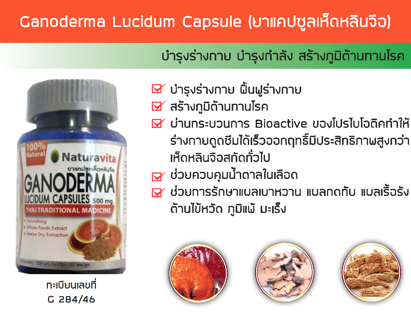 Ganoderma Lucidum Capsule (ยาแคปซูลเห็ดหลินจือ)