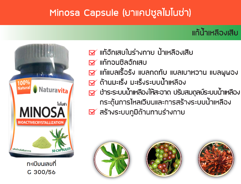 Minosa Capsule (ไมโนซ่า) 