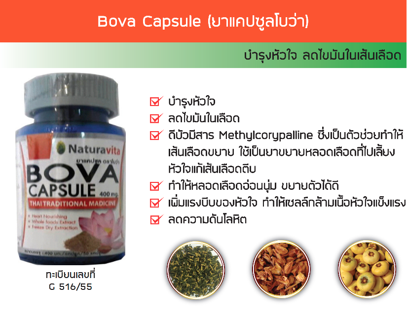 Bova Capsule (สมุนไพรโบว่า)